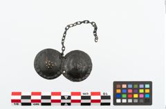 Foto von Bronzehalbmondgehängefibel (NHMW-PRAE-025255)